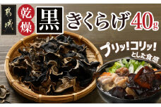 ヘルシー乾燥黒きくらげ40g※ポスト投函_LA-C905_(都城市) 都城産 乾燥黒きくらげ 自社栽培 プリコリ ビタミン ミネラル 健康維持 スープ 煮物