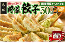 831ハチサンイチの野菜餃子50個入り ≪みやこんじょ特急便≫_LF-K603-Q_(都城市) 野菜餃子50個 柚子胡椒たれ付 大容量