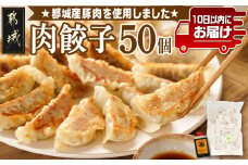 831ハチサンイチの肉餃子50個入り ≪みやこんじょ特急便≫_LF-K602-Q_(都城市) 肉餃子50個 都城産豚使用 柚子胡椒たれ付 大容量