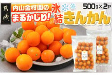 【徳用】内山金柑園のまるかじり氷結きんかん1kg(500g×2P)_12-J702_(都城市) 果物 急速冷凍 完熟きんかん 糖度16％以上 スイーツ おやつ 冷凍きんかん