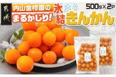 【徳用】内山金柑園のまるかじり氷結きんかん1kg(500g×2P)_12-J702_(都城市) 果物 急速冷凍 完熟きんかん 糖度16％以上 スイーツ おやつ 冷凍きんかん