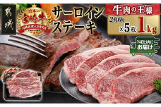 宮崎牛サーロインステーキ(200g×5枚)≪みやこんじょ快速便≫_38-N402-R_(都城市) ステーキ 牛肉 宮崎牛 和牛 国産 サーロイン 1kg 贈答用 ギフト 快速便 14日以内にお届け