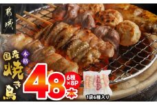 職人串打ちの本格焼き鳥48本!!_12-3307_(都城市) 焼鳥串 生冷凍串 冷凍生肉 もも 皮 手羽 小肉 砂肝 ぼんじり ねぎま ハラミ せせり つくね ふりそで 6本入り 8P 計1.6kg BBQ 鶏肉 国産 小分け