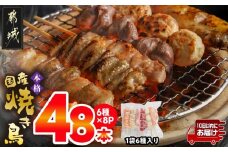 職人串打ちの本格焼き鳥48本!!≪みやこんじょ特急便≫_12-3307-Q_(都城市) 焼鳥串 生冷凍串 冷凍生肉 もも 皮 手羽 小肉 砂肝 ぼんじり ねぎま ハラミ せせり つくね ふりそで 6本入り 8P 計1.6kg BBQ 鶏肉 国産 小分け