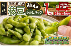 ≪小分けパック≫南国育ちのおいしい枝豆1kg≪みやこんじょ特急便≫_LE-3323-Q_(都城市) 南九州産 急速凍結 塩ゆで 小分け250g おつまみ お弁当 おかず おやつ