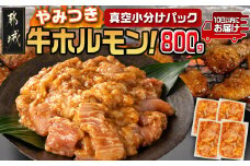 やみつき牛ホルモン800g!(真空小分け)≪みやこんじょ特急便≫_LG8-3307-Q_(都城市) 牛ホルモン 味付き 200g×4P 800g 小分け 真空パック 特急便