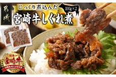 じっくり煮込んだ!宮崎牛しぐれ煮_AA-7708_(都城市) 宮崎牛 しぐれ煮 100g×2パック 真空 ご飯のお供 お酒の肴 お弁当 湯せん
