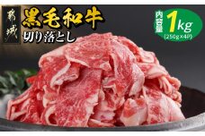 【黒毛和牛】切り落とし1kg(250g×4パック)_13-I901_(都城市)国産黒毛和牛 切り落とし 250g×4パック 外モモ・ウデ・マル・バラ・モモ・ブリスケのMIX 肉じゃが 牛丼 ハヤシライス ビーフシチュー