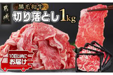 【黒毛和牛】切り落とし1kg(250g×4パック)≪みやこんじょ特急便≫_11-I901-Q_(都城市) 10日以内お届け スピード配送 国産黒毛和牛 切落とし 小分け 250g×4パック 外モモ・ウデ・マル・バラ・モモ・ブリスケのMIX 肉じゃが 牛丼 ブリスケ 