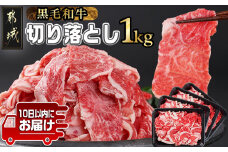 【黒毛和牛】切り落とし1kg(250g×4パック)≪みやこんじょ特急便≫_11-I901-Q_(都城市) 10日以内お届け スピード配送 国産黒毛和牛 切落とし 小分け 250g×4パック 外モモ・ウデ・マル・バラ・モモ・ブリスケのMIX 肉じゃが 牛丼 ブリスケ 