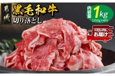 【黒毛和牛】切り落とし1kg(250g×4パック)≪みやこんじょ特急便≫_13-I901-Q_(都城市) 10日以内お届け スピード配送 国産黒毛和牛 切落とし 小分け 250g×4パック 外モモ・ウデ・マル・バラ・モモ・ブリスケのMIX 肉じゃが 牛丼 ブリスケ 