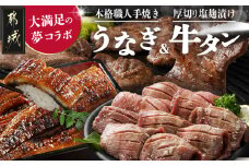 大満足の夢コラボ☆うなぎ&厚切り牛タンセット_AC-3308_(都城市) 訳あり 不揃い スリット加工 塩麹 牛 タン 国産うなぎ 蒲焼