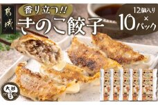 香り立つ!!「きのこ餃子」120個_16-8701_ (都城市) ギョウザ 12個入り 10パック 無農薬栽培 椎茸 きくらげ 都城産ブランド豚 きなこ豚 きゃべつ ニラ ニンニク使用 ヘルシー餃子 大杉しいたけ園
