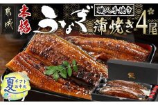 【お中元】職人手焼きの本格うなぎ蒲焼き4尾_AD-3301-SG_(都城市) 国産 本格 うなぎ 鰻 蒲焼 お中元 夏ギフト