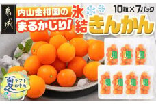 【お中元】内山金柑園のまるかじり氷結きんかん7パック_AO-J703-SG_(都城市) 内山金柑園 完熟きんかん 氷結きんかん 急速冷凍 糖度16％以上 シャーベット 10粒 お中元 夏ギフト