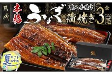 【お中元】職人手焼きの本格うなぎ蒲焼き3尾_AC-3301-SG_(都城市) 鰻蒲焼 3尾 (総重量450g以上) タレ付き (30ml×3個) 国産うなぎの蒲焼き 特製たれ付き 冷凍 ウナギ かば焼き お中元 夏ギフト うなぎ