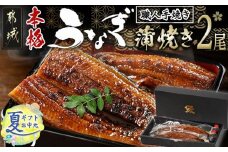 【お中元】職人手焼きの本格うなぎ蒲焼き2尾_MJ-3305-SG_(都城市) 国産 本格 うなぎ 鰻 蒲焼 宮崎 じっくり 特製タレ 香り豊かな ふっくら 香ばしい お中元 夏ギフト うなぎ