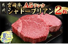 【お中元】宮崎牛シャトーブリアン(A5)150g×2枚≪真空≫_AI-0103-SG_(都城市) 都城産宮崎牛 A5 シャトーブリアン 150g×2枚 真空 ステーキソース小袋 塩こしょう小袋 贈答用 お中元 夏ギフト