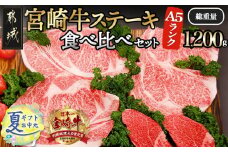 【お中元】総重量1,200g！都城産宮崎牛ステーキ食べ比べセット_MM-0101-SG_(都城市) 牛肉 A5ランク サーロインステーキ 200g×2枚 ヒレステーキ 100g×2枚 リブロースステーキ 300g×2枚 ギフト 贈答用 お中元 夏ギフト