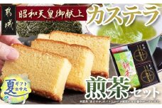 【お中元】カステラと煎茶セット_AA-7603-SG_(都城市) 宮崎県産鶏卵使用 カステラ専用窯で丁寧に焼き上げ 自然素材 スイーツ デザート 厳選米飴使用 焼き菓子 煎茶 お中元 夏ギフト