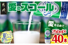【お中元】『愛』を込めて・・・愛のスコール250ml×40本(2ケース)_13-2305-SG_(都城市) 炭酸飲料 スコール 250ml 20本 2ケース お中元 夏ギフト