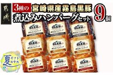 【お中元】霧島黒豚 3種の煮込みハンバーグギフト (デミグラスソース仕立て・和風おろしソース仕立て・大人の照焼きソース仕立て)_AA-2804-SG_(都城市) 霧島黒豚 煮込みハンバーグ デミグラス 和風おろし 照焼き ギフト 贈答用