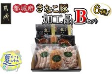 【お中元】「きなこ豚」加工品Bセット_MJ-1209-SG_MJ-1209_(都城市) きなこ豚 ブランドポーク プレスハム ソーセージ 生ウインナー 味噌漬け ベーコン 生ハム 加工品 おかず 冷凍 ギフト 贈答