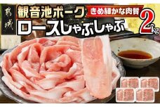 観音池ポークのロースしゃぶしゃぶ 2kg_MJ-1555_(都城市) 都城産 豚肉 500g 4パック ブランドポーク 観音池ポーク ネッカリッチ ロース しゃぶしゃぶ肉