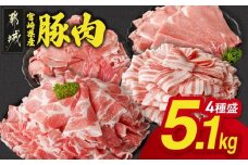 宮崎県産豚肉たっぷり5.1kgセット_AC-N202-CF_(都城市) 宮崎県産豚 大容量 バラスライス 肩ロース又はローススライス モモスライス 小間切れ 豚肉 使い勝手抜群 ミヤチク