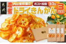 濃蜜ドライきんかん3パック※ポスト投函_LG-J703_(都城市) 濃蜜ドライきんかん 3パック 都城市産きんかん 内山金柑園 ドライフルーツ