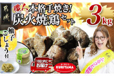 本格手焼き!炭火焼鶏3kg(ゆずこしょう付)≪みやこんじょ特急便≫_MJ-1417-Q_(都城市) リピーター続出!! 鶏肉 小分け 炭火焼き おつまみ 宮崎 冷凍 柚子胡椒  保存料不使用 ギャル曽根さんおすすめの鶏肉返礼品(炭火焼)