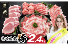 宮崎県産豚わくわく2.4kgセット(真空)_14-8406-s_(都城市) 豚肉 豚肉セット 宮崎県産豚 しゃぶしゃぶ バラ 焼肉 切り落とし 肩ローススライス ロース とんかつ ミンチ 使い勝手抜群 小分け 真空