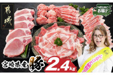宮崎県産豚わくわく2.4kgセット(真空)≪みやこんじょ快速便≫_14-8406-s-R_(都城市) 豚肉 豚肉セット 宮崎県産豚 しゃぶしゃぶ バラ 焼肉 切り落とし 肩ローススライス ロース とんかつ ミンチ 使い勝手抜群 小分け 真空