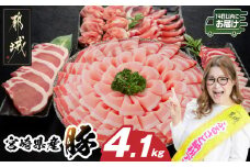 宮崎県産豚わくわく4.1kgセット(真空)≪みやこんじょ快速便≫_AC-8403-s-R_(都城市) 豚肉 豚肉セット 宮崎県産豚 しゃぶしゃぶ バラ 焼肉 切り落とし 肩ローススライス ロース とんかつ ミンチ 使い勝手抜群 小分け