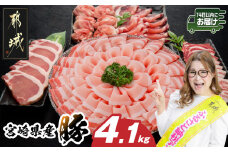 宮崎県産豚わくわく4.1kgセット(真空)≪みやこんじょ快速便≫_AC-8403-s-R_(都城市) 豚肉 豚肉セット 宮崎県産豚 しゃぶしゃぶ バラ 焼肉 切り落とし 肩ローススライス ロース とんかつ ミンチ 使い勝手抜群 小分け