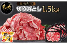 【敬老の日】【黒毛和牛】切り落とし1.5kg(250g×6パック)≪9月11日～15日お届け≫_MJ-I903-KG_(都城市) 牛肉 国産黒毛和牛 外モモ ウデ マル バラ モモ ブリスケ 切り落とし 250g×6パック 小分けパック ブリスケ 
