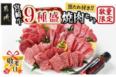 【敬老の日】【数量限定】宮崎牛9種盛り焼肉セット≪9月11日～15日お届け≫_22-3101-KG_(都城市) 宮崎牛 ラムシン マルシン イチボ サーロイン ザブトン 肩ロース ショートリブ カルビ 内モモ ギフト 贈答用 牛肉 タレ付き 肉 国産