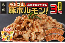【敬老の日】やみつき豚ホルモン!3kg!真空小分けパック!≪9月11日～15日お届け≫_LG8-3303-KG_(都城市) 国産豚 ホルモン 味付き 300g×10P 3kg 小分け 真空パック 豚肉
