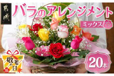 【敬老の日】バラのアレンジメント20本(ミックス)≪9月11日～15日お届け≫_17-3302-KG_(都城市) フラワーアレンジメント バラ20本と季節の花 カスミソウ ブルーファンタジア スイートピー等 矢野バラ園 贈り物 プレゼント