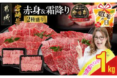 【敬老の日】宮崎牛焼肉2種セット500g×2パック≪9月11日～15日お届け≫_17-N202-KG_(都城市) 宮崎県産宮崎牛 肩ロース ウデ又はモモスライス 焼肉 (500g×2)1kg