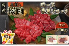 【敬老の日】都城産「桜肉」馬刺し ロース・赤身ブロック300gセット≪9月11日～15日お届け≫_MJ-0119-KG_(都城市) 都城産馬刺 ロースブロック 赤身ブロック 各150g×1 真空 醤油 生姜の小袋付き 桜肉 馬刺し