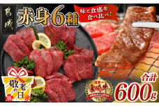 【敬老の日】宮崎牛赤身6種600g≪9月11日～15日お届け≫_16-2601-KG_(都城市) 牛肉 ウデミスジ ウデ三角 ウデクリ とうがらし ウデ赤身 ウデカルビ 約100g 計600g 6種類セット赤身