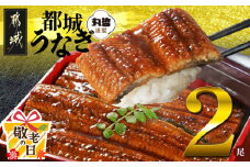 【敬老の日】宮崎県育ちのうなぎ蒲焼2尾300g以上≪山椒・たれ付≫≪9月11日～15日お届け≫_13-M301-KG_(都城市) うなぎ蒲焼(有頭) 宮崎県産 真空 山椒・たれ付
