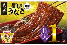 【敬老の日】宮崎県育ちの【特大】うなぎ蒲焼1尾210g以上≪山椒・たれ付≫≪9月11日～15日お届け≫_11-M301-KG_(都城市) 特大うなぎ蒲焼(有頭) 宮崎県産 真空 山椒・たれ付