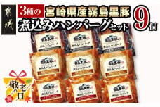 【敬老の日】霧島黒豚 3種の煮込みハンバーグギフト (デミグラスソース仕立て・和風おろしソース仕立て・大人の照焼きソース仕立て)≪9月11日～15日お届け≫_AA-2804-KG_(都城市) 霧島黒豚 煮込みハンバーグ デミグラス 和風おろし 照焼き ギフト 贈答用