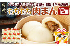 【敬老の日】もちもち肉まん≪9月11日～15日お届け≫_AA-9223-KG_(都城市) 観音池ポーク もちもち 肉まん 旨味 とじこめた 弾力のある 電子レンジ 