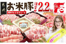お米豚2.2kgセット_14-3101_(都城市) 豚肉 豚ロース 豚こま切れ 豚バラ肉 豚肩ロース ブランド豚 小分け スライス肉  ギャル曽根さんおすすめの豚肉返礼品