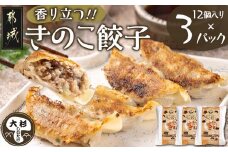 香り立つ!!「きのこ餃子」36個_LF-8701_(都城市) ギョウザ 12個入り 3パック 椎茸 きくらげ 都城産ブランド豚 きなこ豚 きゃべつ ニラ ニンニク使用 ヘルシー餃子 大杉しいたけ園