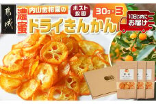 濃蜜ドライきんかん3パック※ポスト投函≪みやこんじょ特急便≫_LG-J703-Q_(都城市) 濃蜜ドライきんかん 3パック 都城市産きんかん 内山金柑園 ドライフルーツ