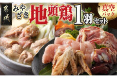 【たしろ屋】みやざき地頭鶏1羽セット_MJ-9912_(都城市) 都城市産 みやざき地頭鶏 真空